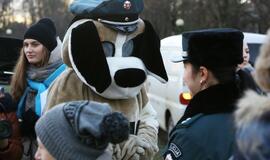 Šuniukų Kalėdų šventė