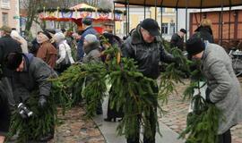 Teatro aikštėje išdalintos eglių šakos