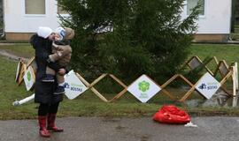 Eglučių miesto kiemuose puošimas