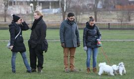 Šuniukų Kalėdų šventė