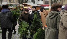 Teatro aikštėje išdalintos eglių šakos