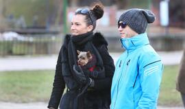 Šuniukų Kalėdų šventė