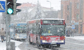 Klaipėdos autobusai: naujų žaidėjų nebus