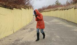 Audros padariniai Klaipėdoje