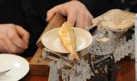 Stintų šventėje niekas neliks be laimikio