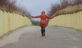 Audros padariniai Klaipėdoje