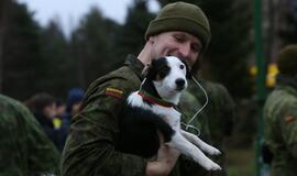 Laisvės gynėjų dienos bėgimas