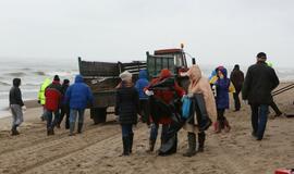 Lietus neatbaidė paplūdimius tvarkiusių savanorių