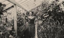 Klaipėdos akvarelės: namai ir žmonės (377)