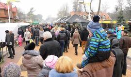 Palangos stintų šventė (2015)