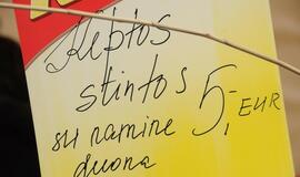 Palangos stintų šventė (2015)