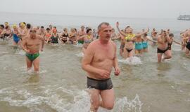 "Ruonių" maudynės (2015)