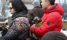 Kaziuko mugė Klaipėdoje