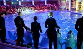 Senjorams - nemalonus delfinariumo siurprizas