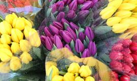 Prekyba tulpėmis kovo 8-ąją