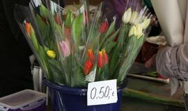 Prekyba tulpėmis kovo 8-ąją