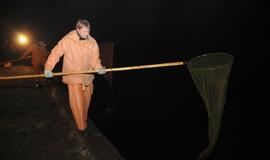 Žuvies šventė Rusnėje