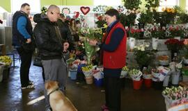 Prekyba tulpėmis kovo 8-ąją