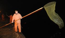 Žuvies šventė Rusnėje