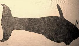 Stebėkite internetu paskaitą - apie paslaptingą baltojo banginio skeletą