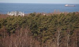 Girulių miške: sumušė, atėmė gėrimus, eurus, telefonus