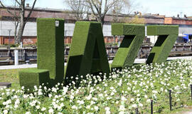 Įspūdingai kompozicijai sukurti prireikė 1500 rožių