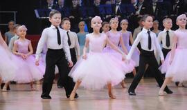 "Žuvėdros" atsisveikinimo pasirodymas