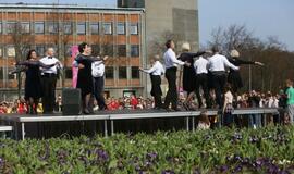 "Vilties šokis": "Kaip man čia gera!"