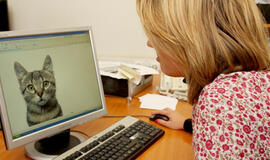 Internetas tampa atminties standžiuoju disku