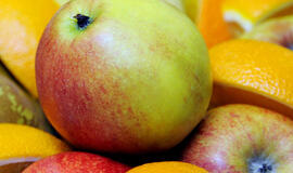 KKKC Meno kieme – tradicinės kūrybinės dirbtuvės senjorams