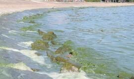 Kuršių mariose ant seklumos buvo užplaukusi jachta