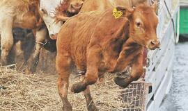 Lietuvos ūkininkų sąjungos pirmininkas Jonas Talmantas: Dar per gerai gyvename