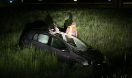 Prie Jakų žiedo automobilis užmušė du briedžius