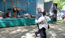 Vestuvių muzikantų festivalis