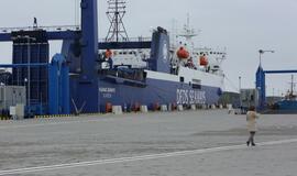 Pratybos "Žaibo kirtis" Klaipėdoje