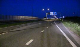 Prie Jakų žiedo automobilis užmušė du briedžius