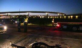 Prie Jakų žiedo automobilis užmušė du briedžius