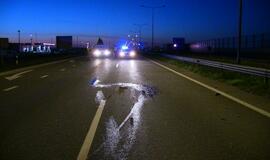 Prie Jakų žiedo automobilis užmušė du briedžius