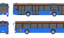 Autobusų spalvos: dar vienas variantas