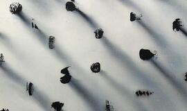 Baroti galerijoje - paroda "Maži. Dideli. Dalykai."