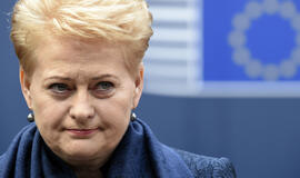 Dalia Grybauskaitė apie Graikiją: mūsų pozicija - gana griežta