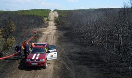 Gaisrų pavojus: tikrins Klaipėdos ir Neringos miškus