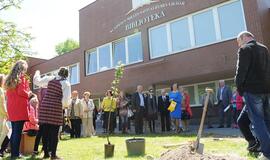 Genealoginį medį braižyti galės visi