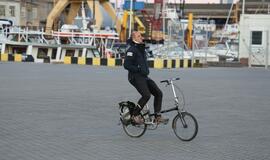 Švyturio Joninių nakties regata