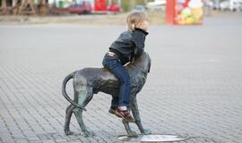 Švyturio Joninių nakties regata