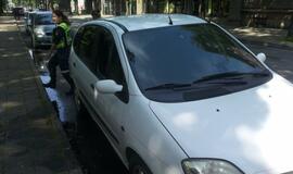 Danės gatvėje liepsnojo automobilis
