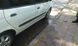 Danės gatvėje liepsnojo automobilis
