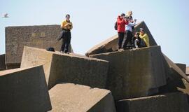 "Baltic tall ships" regatos laivų palydos