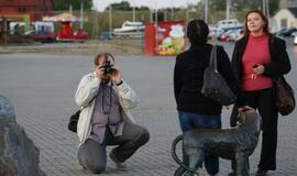 Švyturio Joninių nakties regata