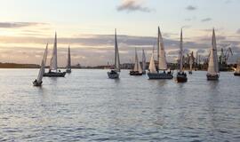 Švyturio Joninių nakties regata